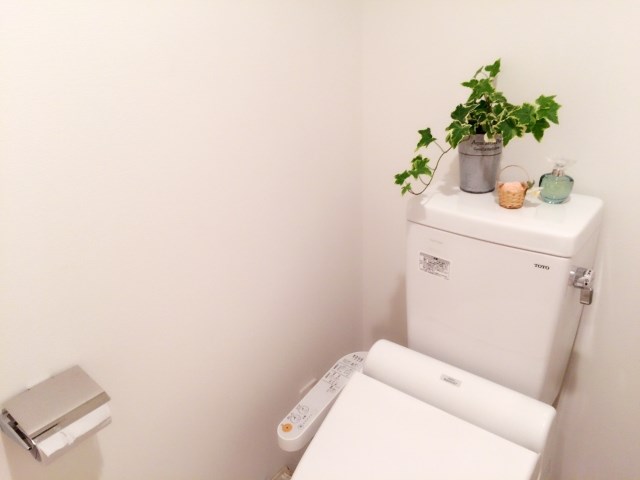 観葉植物が置かれたトイレのタンク